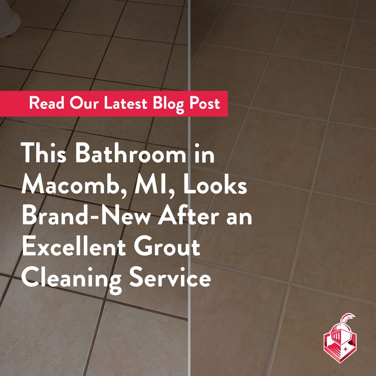 This Bathroom in Macomb, MI, Looks Brand-New After an Excellent Grout Cleaning Service